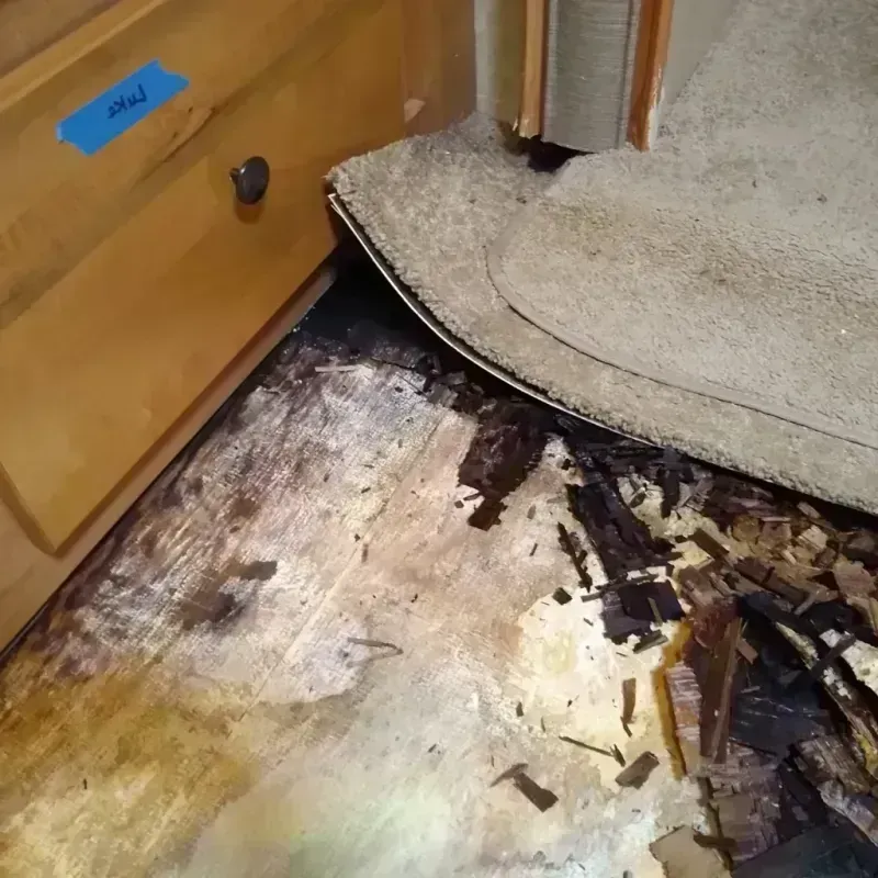 Wood Floor Water Damage in Boise City, OK